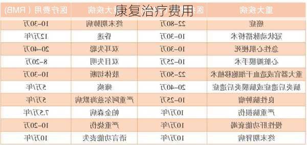 康复治疗费用