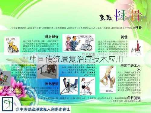 中国传统康复治疗技术应用