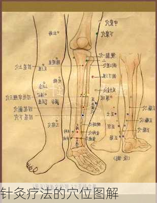 针灸疗法的穴位图解