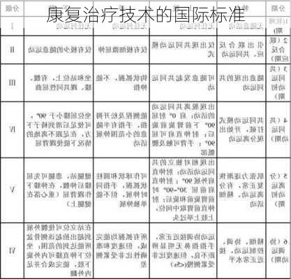 康复治疗技术的国际标准
