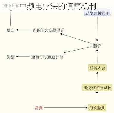 中频电疗法的镇痛机制