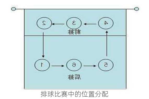 排球比赛中的位置分配