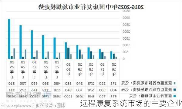 远程康复系统市场的主要企业