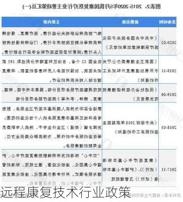 远程康复技术行业政策
