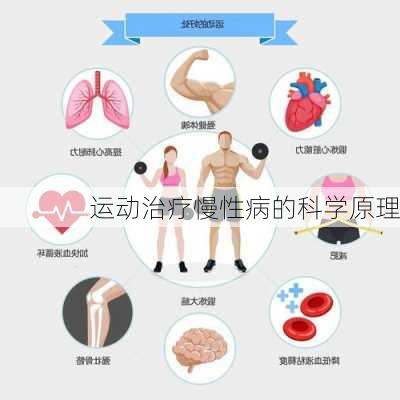 运动治疗慢性病的科学原理
