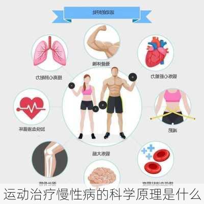 运动治疗慢性病的科学原理是什么
