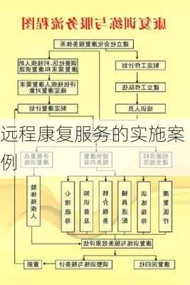 远程康复服务的实施案例