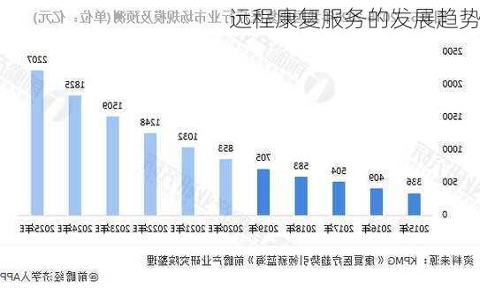 远程康复服务的发展趋势