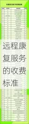 远程康复服务的收费标准
