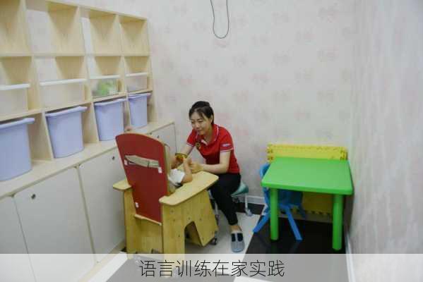 语言训练在家实践