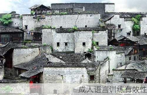 成人语言训练有效性