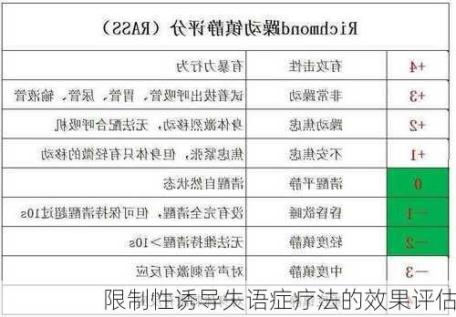 限制性诱导失语症疗法的效果评估