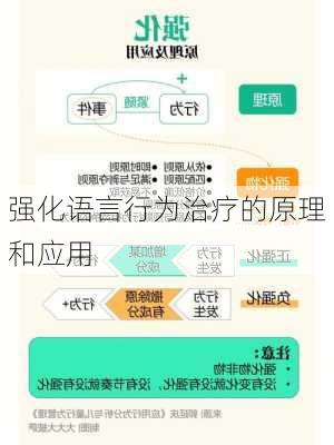 强化语言行为治疗的原理和应用