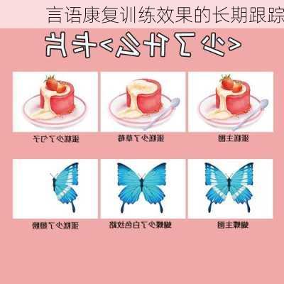 言语康复训练效果的长期跟踪