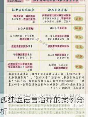 孤独症语言治疗的案例分析