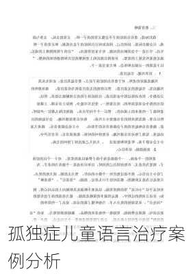 孤独症儿童语言治疗案例分析