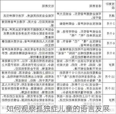 如何观察孤独症儿童的语言发展