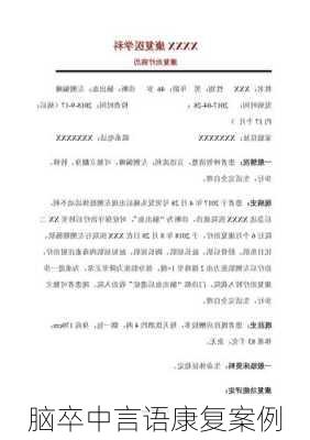 脑卒中言语康复案例