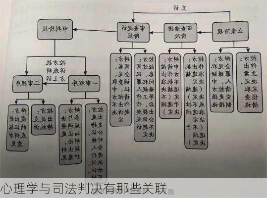 心理学与司法判决有那些关联