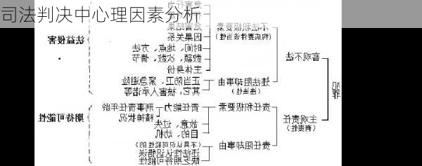 司法判决中心理因素分析