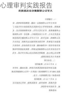 心理审判实践报告