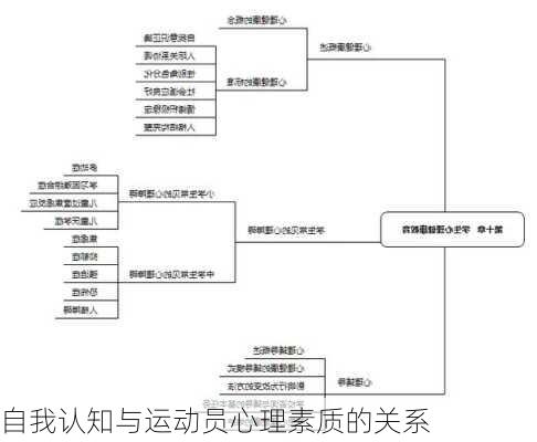 自我认知与运动员心理素质的关系