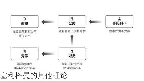 塞利格曼的其他理论