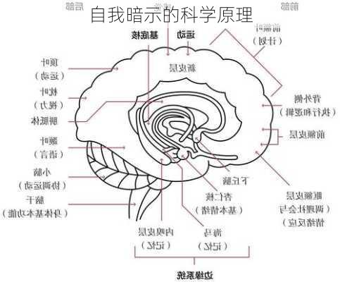 自我暗示的科学原理