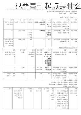 犯罪量刑起点是什么
