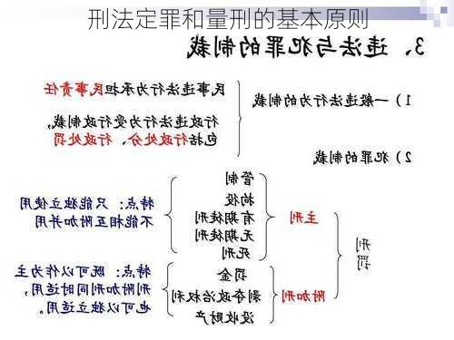 刑法定罪和量刑的基本原则