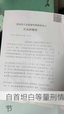 自首坦白等量刑情节
