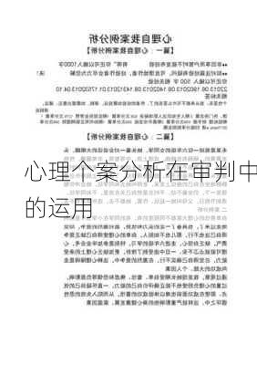 心理个案分析在审判中的运用