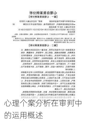 心理个案分析在审判中的运用概述