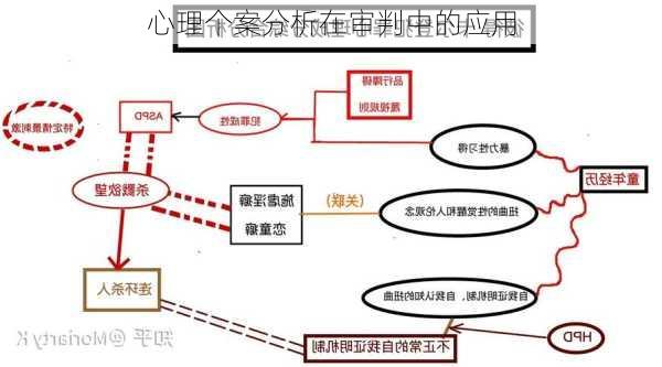 心理个案分析在审判中的应用
