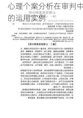 心理个案分析在审判中的运用实例