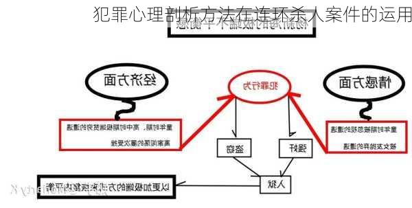 犯罪心理剖析方法在连环杀人案件的运用