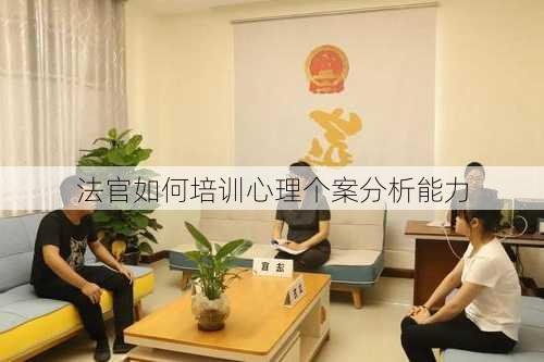 法官如何培训心理个案分析能力