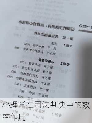 心理学在司法判决中的效率作用