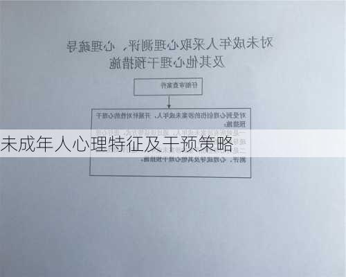 未成年人心理特征及干预策略