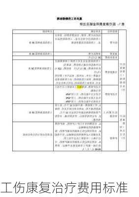工伤康复治疗费用标准