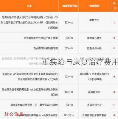 重疾险与康复治疗费用