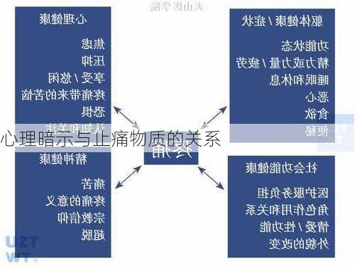 心理暗示与止痛物质的关系