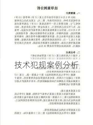 技术犯规案例分析