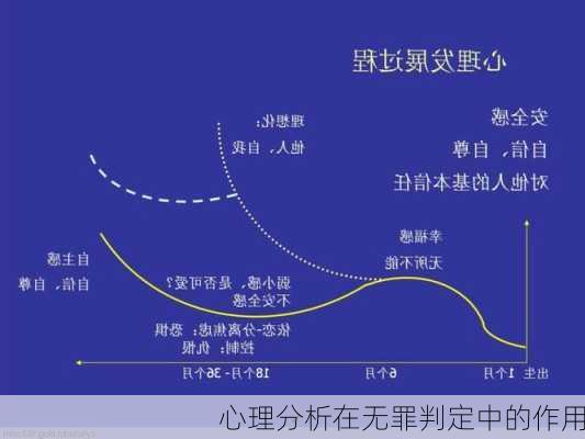 心理分析在无罪判定中的作用