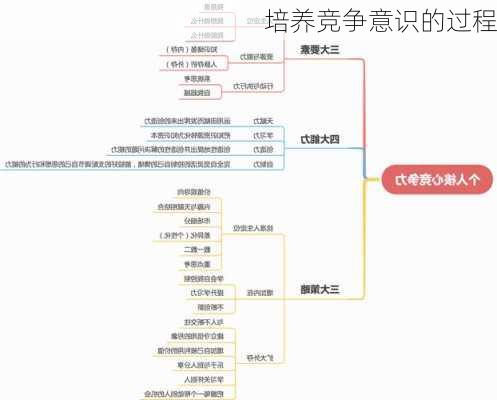 培养竞争意识的过程