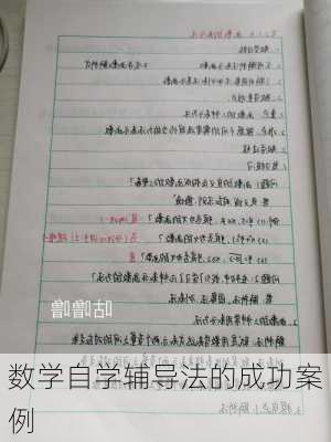 数学自学辅导法的成功案例