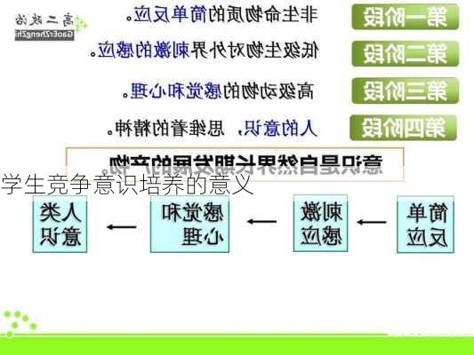 学生竞争意识培养的意义