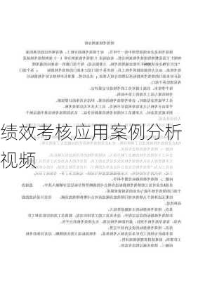 绩效考核应用案例分析视频