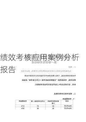 绩效考核应用案例分析报告