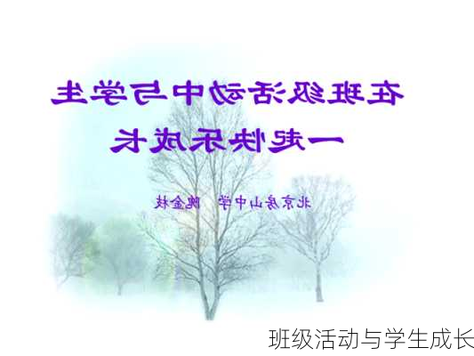 班级活动与学生成长